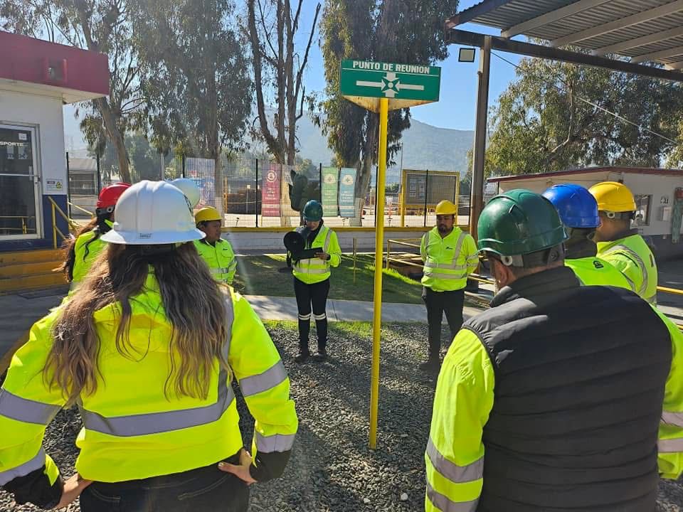 Organización de simulacros y planes de contingencia.